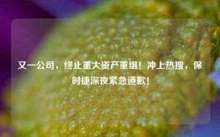 又一公司，终止重大资产重组！冲上热搜，保时捷深夜紧急道歉！