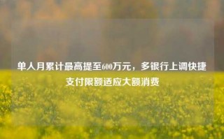 单人月累计最高提至600万元，多银行上调快捷支付限额适应大额消费