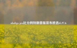 nbaliga pro比分网特朗普版宣布胜选65.97.6