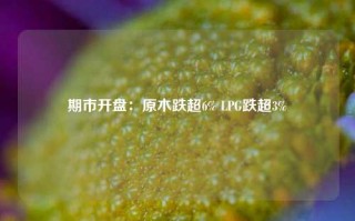 期市开盘：原木跌超6% LPG跌超3%