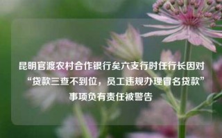 昆明官渡农村合作银行矣六支行时任行长因对“贷款三查不到位，员工违规办理冒名贷款”事项负有责任被警告