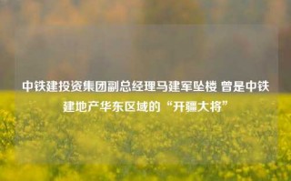 中铁建投资集团副总经理马建军坠楼 曾是中铁建地产华东区域的“开疆大将”