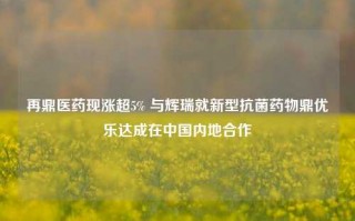 再鼎医药现涨超5% 与辉瑞就新型抗菌药物鼎优乐达成在中国内地合作