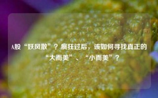 A股“妖风散”？疯狂过后，该如何寻找真正的“大而美”、“小而美”？