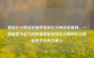 竞彩比分网足彩推荐竞彩比分网足彩推荐，一场智慧与运气的较量竞彩足球比分即时比分竞彩胜平负再见爱人