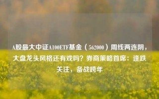 A股最大中证A100ETF基金（562000）周线两连阴，大盘龙头风格还有戏吗？券商策略首席：逢跌关注，备战跨年