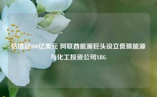 估值超800亿美元 阿联酋能源巨头设立低碳能源与化工投资公司XRG