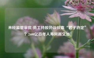 未经监管审批 员工持股协议仅靠“君子协定”？2600亿百年人寿风雨交加