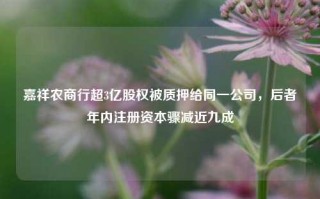 嘉祥农商行超3亿股权被质押给同一公司，后者年内注册资本骤减近九成