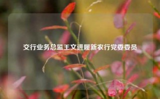 交行业务总监王文进履新农行党委委员