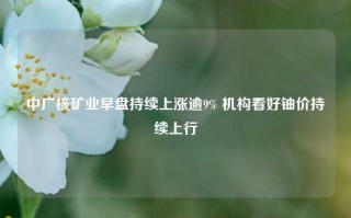 中广核矿业早盘持续上涨逾9% 机构看好铀价持续上行