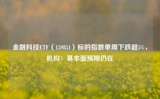 金融科技ETF（159851）标的指数单周下跌超5%，机构：基本面预期仍在