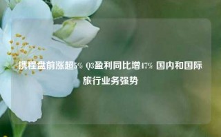 携程盘前涨超5% Q3盈利同比增47% 国内和国际旅行业务强势