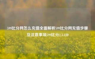 599比分网怎么充值全面解析599比分网充值步骤及注意事项599比分2.3.1JD