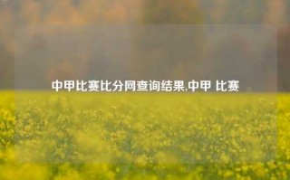 中甲比赛比分网查询结果,中甲 比赛