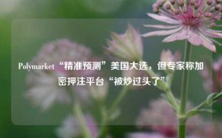 Polymarket“精准预测”美国大选，但专家称加密押注平台“被炒过头了”