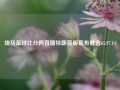 埃及足球比分网直播特朗普版宣布胜选65.97.14