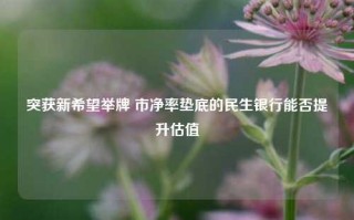 突获新希望举牌 市净率垫底的民生银行能否提升估值