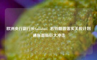 欧洲央行副行长Guindos：若特朗普落实关税计划 通胀面临巨大冲击