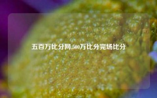 五百万比分网,500万比分完场比分