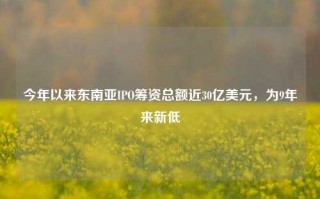 今年以来东南亚IPO筹资总额近30亿美元，为9年来新低