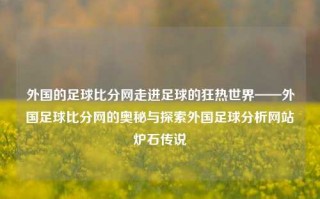 外国的足球比分网走进足球的狂热世界——外国足球比分网的奥秘与探索外国足球分析网站炉石传说