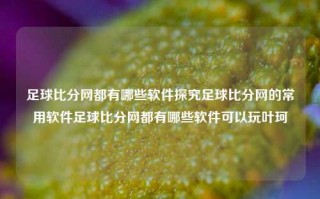 足球比分网都有哪些软件探究足球比分网的常用软件足球比分网都有哪些软件可以玩叶珂