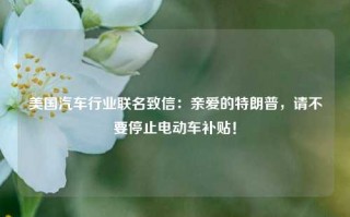 美国汽车行业联名致信：亲爱的特朗普，请不要停止电动车补贴！