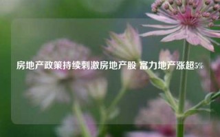 房地产政策持续刺激房地产股 富力地产涨超5%