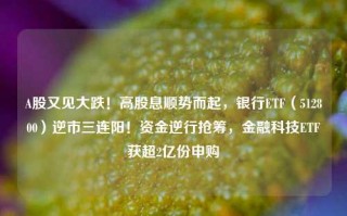 A股又见大跌！高股息顺势而起，银行ETF（512800）逆市三连阳！资金逆行抢筹，金融科技ETF获超2亿份申购