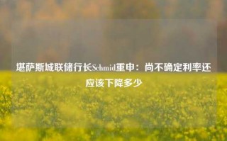 堪萨斯城联储行长Schmid重申：尚不确定利率还应该下降多少