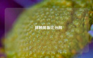 玦探触屏版比分网