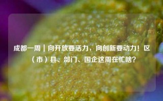 成都一周｜向开放要活力，向创新要动力！区（市）县、部门、国企这周在忙啥？