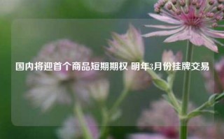 国内将迎首个商品短期期权 明年3月份挂牌交易