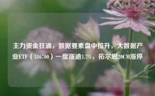 主力资金狂涌，数据要素盘中拉升，大数据产业ETF（516700）一度涨逾1.7%，拓尔思20CM涨停