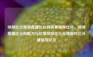 球探比分现场直播比分网探索球探比分，现场直播比分的魅力与价值球探比分足球即时比分捷报郑钦文