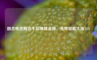 固态电池概念午后继续走强，先导智能大涨15%