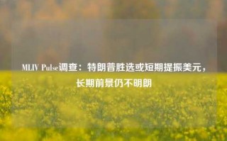 MLIV Pulse调查：特朗普胜选或短期提振美元，长期前景仍不明朗