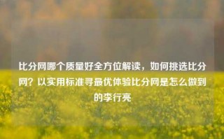 比分网哪个质量好全方位解读，如何挑选比分网？以实用标准寻最优体验比分网是怎么做到的李行亮