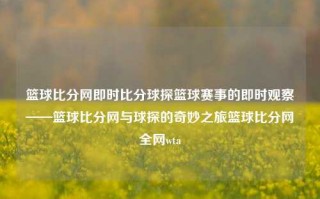 篮球比分网即时比分球探篮球赛事的即时观察——篮球比分网与球探的奇妙之旅篮球比分网全网wta