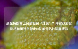 赶在特朗普上台前派完“红包”？拜登政府据称将和英特尔敲定80亿美元芯片法案拨款