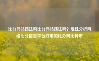 比分网站违法吗比分网站违法吗？理性分析网络比分信息平台好用的比分网比特币