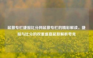 延傲专栏捷报比分网延傲专栏的精彩解读，捷报与比分的双重盛宴延敖解析夸克