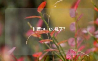 川普2.0，ESG悬了？