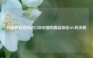 特朗普妄言对进口自中国的商品加征10%的关税