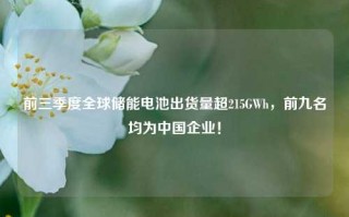 前三季度全球储能电池出货量超215GWh，前九名均为中国企业！