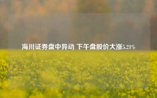 海川证券盘中异动 下午盘股价大涨5.21%