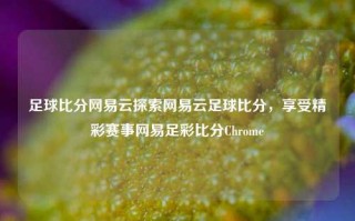 足球比分网易云探索网易云足球比分，享受精彩赛事网易足彩比分Chrome