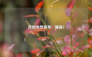 这国突然宣布：降息！