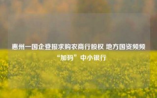 惠州一国企登报求购农商行股权 地方国资频频“加码”中小银行